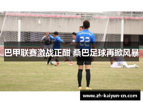 巴甲联赛激战正酣 桑巴足球再掀风暴