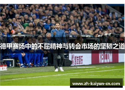 德甲赛场中的不屈精神与转会市场的坚韧之道